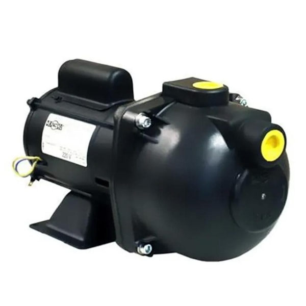 Bomba Autoaspirante Multiuso 1CV Dancor Pratika AP-3C Monofásica 127/220V