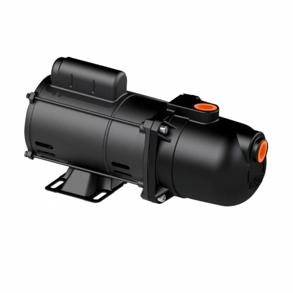 Bomba Autoaspirante Pratika AP-2R Bivolt Dancor