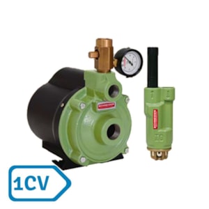 Bomba Injetora Schneider 1CV 127V BIR-2008