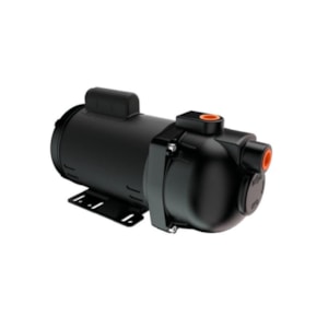 Bomba Pratika AP-3C 2CV Dancor Bivolt
