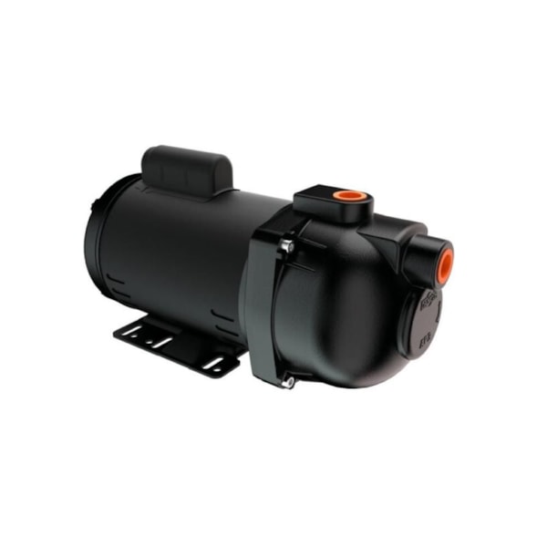 Bomba Pratika AP-3C 2CV Dancor Bivolt